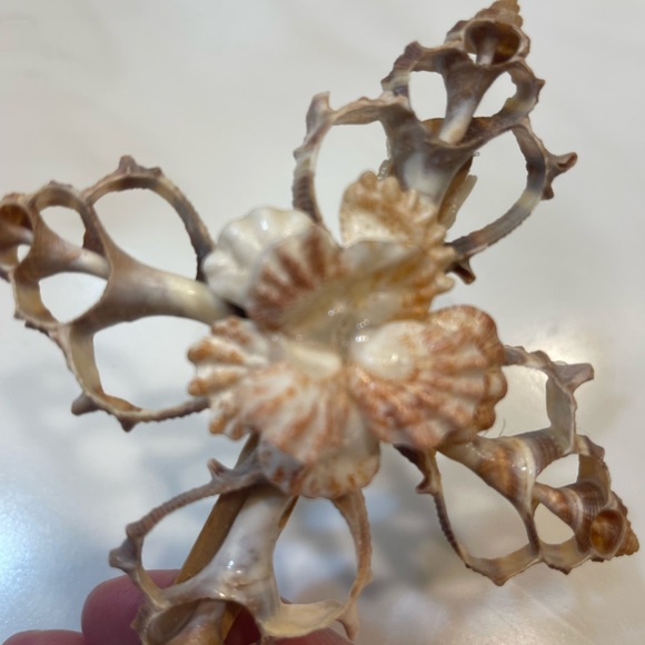 Handmade SEASHELL CROSS. - Picture 3 of 5